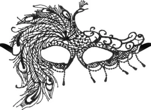 Black Soft Embroidered Lace Mask