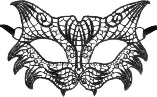 Black Embroidered Lace Mask