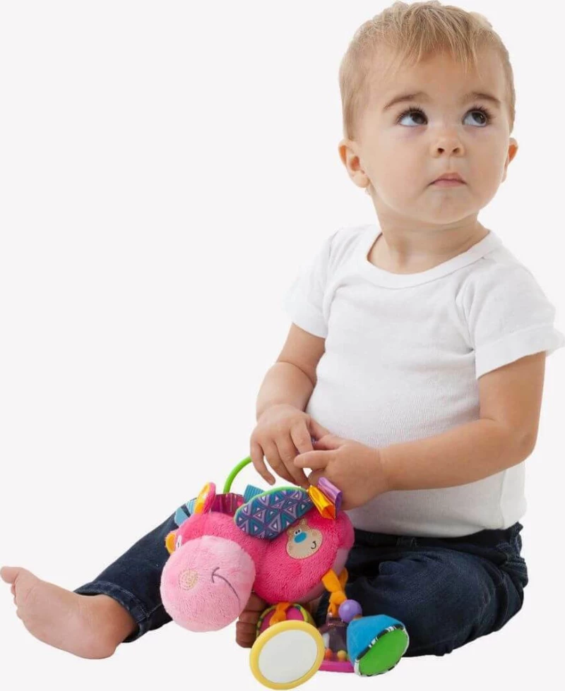 Playgro Clopette Activity Rattle Pink