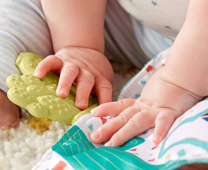 Fisher Price Teethe & Cuddle Cactus