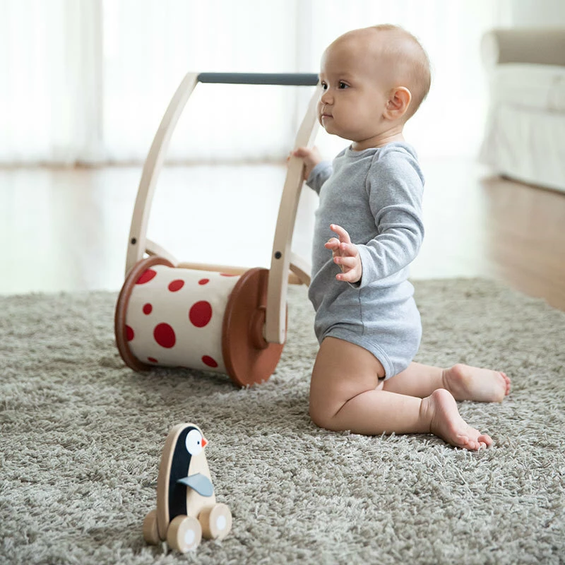 Plan Toys Πιγκουίνος με Ρόδες