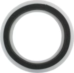Remo Ring Control 13"