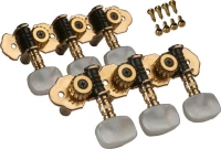 Tune B6M-02 - Gold