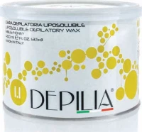 Depilia Honey Liposoluble Wax 400ml