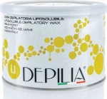 Depilia Honey Liposoluble Wax 400ml