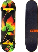 Fish Skateboards Fall 31"