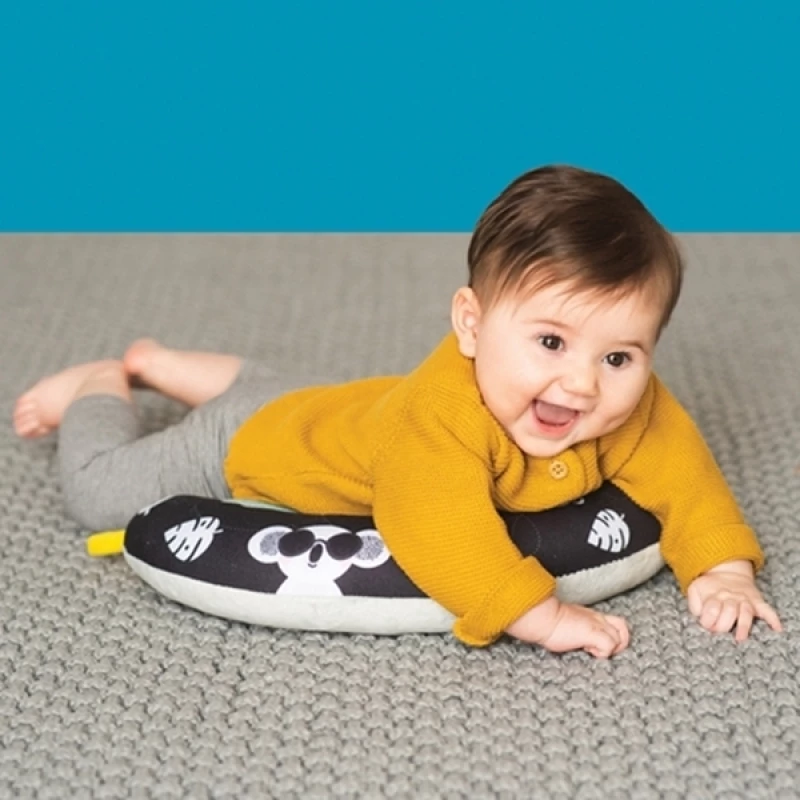 Taf Toys Tummy Time Pillow
