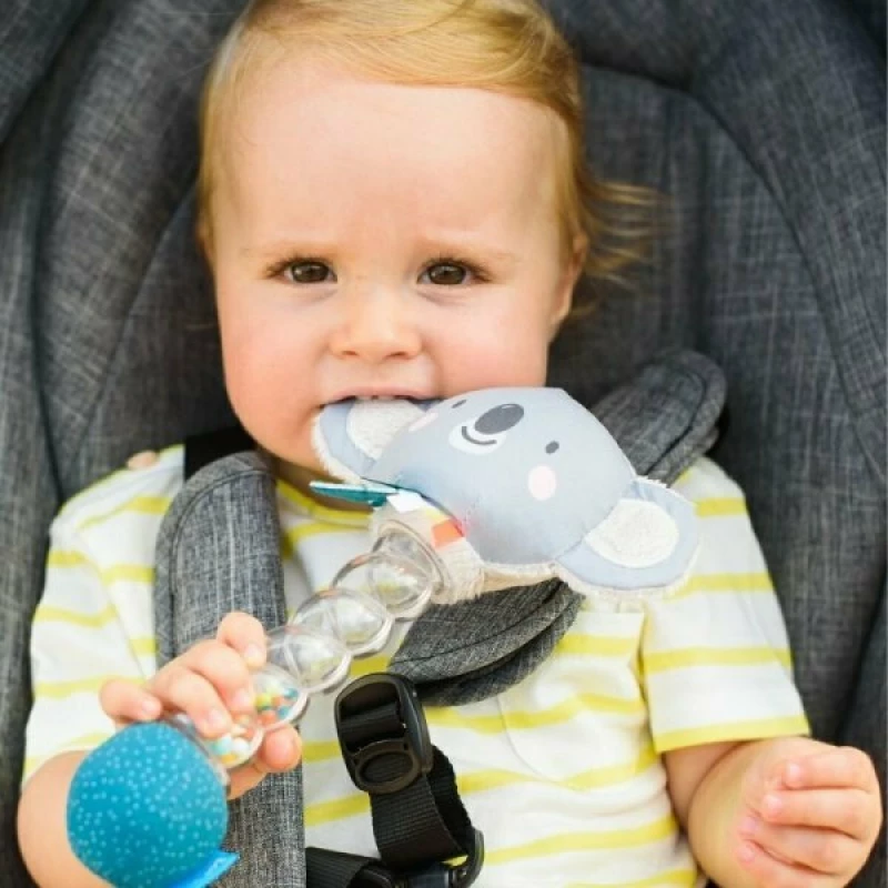 Taf Toys Koala Rainstick