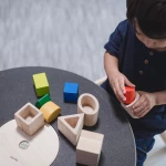 Plan Toys Geo Matching Blocks