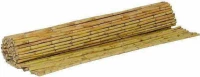 ShoWood Καλαμωτή Διετές Καλάμι 100x300cm 100300