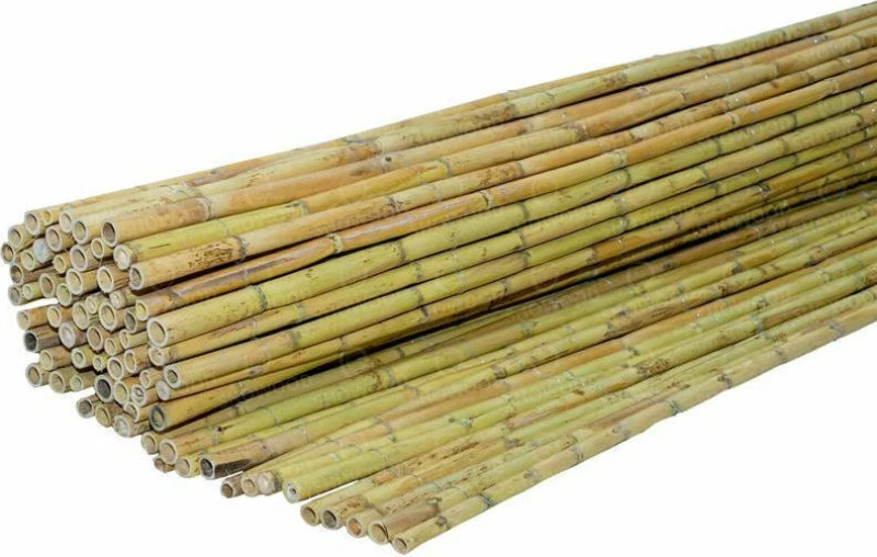 ShoWood Καλαμωτή Διετές Καλάμι 100x300cm 100300