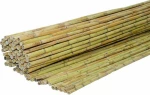 ShoWood Καλαμωτή Διετές Καλάμι 100x300cm 100300