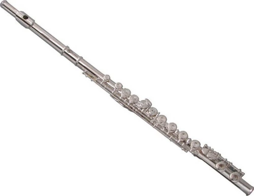 Soundsation Sfl-10 Do (C) Silver Φλάουτο Με Θήκη