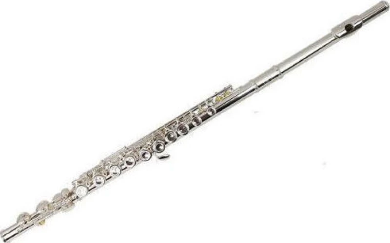 Kings 6456CS