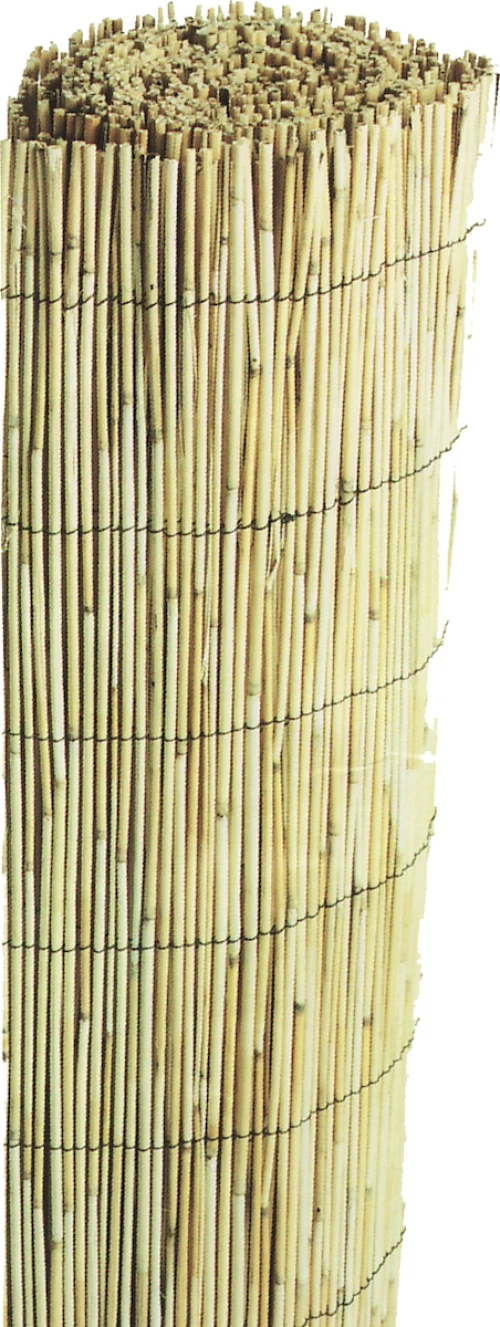 ShoWood Καλαμωτή Ψιλή 200x300cm 30272