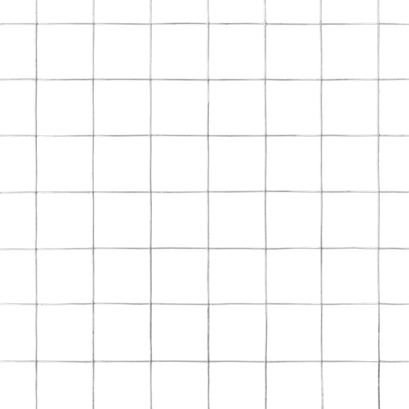 vidaXL Συρματόπλεγμα Τετράγωνο Ασημί 50x1000cm 143611