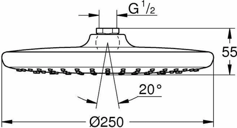 Grohe Tempesta 250 Κεφαλή Ντουζ