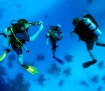3ωρo Scuba Diving + Photos για 7 άτομα, σε group αρχαρίων!