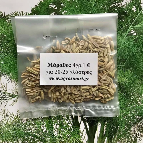 Μάραθος 4 γρ.