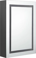 vidaXL 326490 Ορθογώνιος Καθρέπτης Μπάνιου με Ντουλάπι 50x70cm