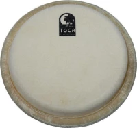 Toca Players/Elite Series Bongo Head - 8.5"