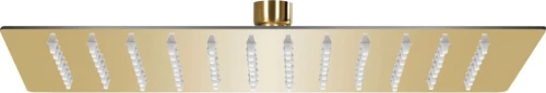 vidaXL 147713 Κεφαλή Ντουζ Gold