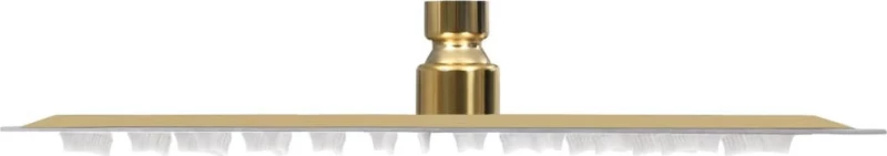 vidaXL 147713 Κεφαλή Ντουζ Gold