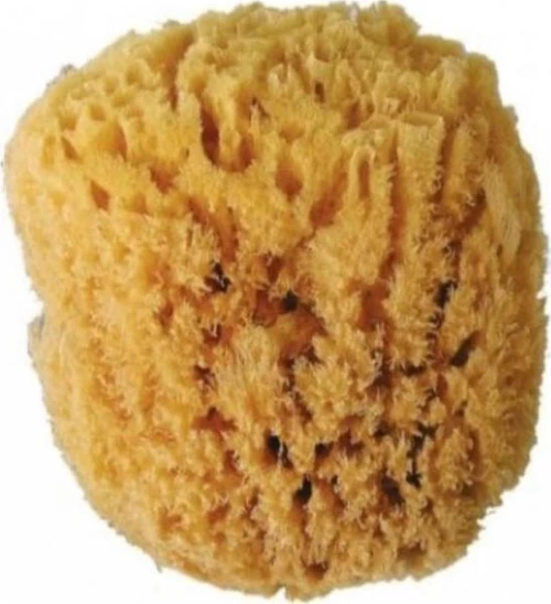 Beauty Spring Φυσικό Σφουγγάρι Μεσαίο