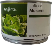 Syngenta Μαρούλι "Musena F1" | 5000 επενδεδυμένοι σπόροι