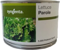 Syngenta Μαρούλι "Parole F1" | 5000 επενδεδυμένοι σπόροι