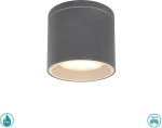 Globo Lighting Εξωτερικό Φωτιστικό Οροφής Alcala Γκρι 32063A