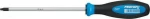Witte Κατσαβίδι Τετράγωνο 1x100mm 93001