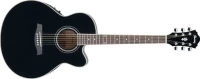 Ibanez Ακουστική Κιθάρα AEL 10E Black