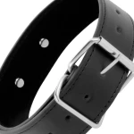 Darkness Collar With Leash Black