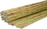 ShoWood Καλάμι Ολόκληρο Διετές 150x300cm 150300