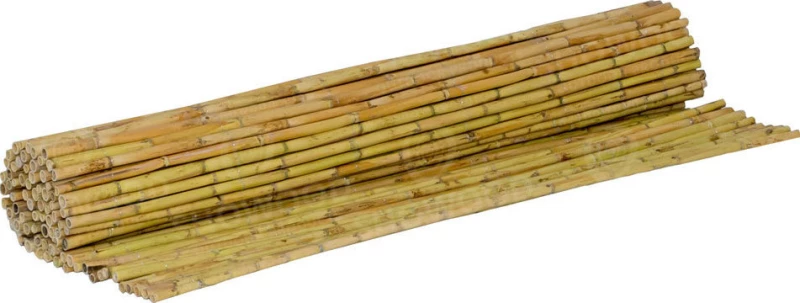 ShoWood Καλάμι Ολόκληρο Διετές 150x300cm 150300