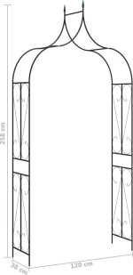 Αψίδα Σιδερένια Μαύρη 120x38x258cm 47094