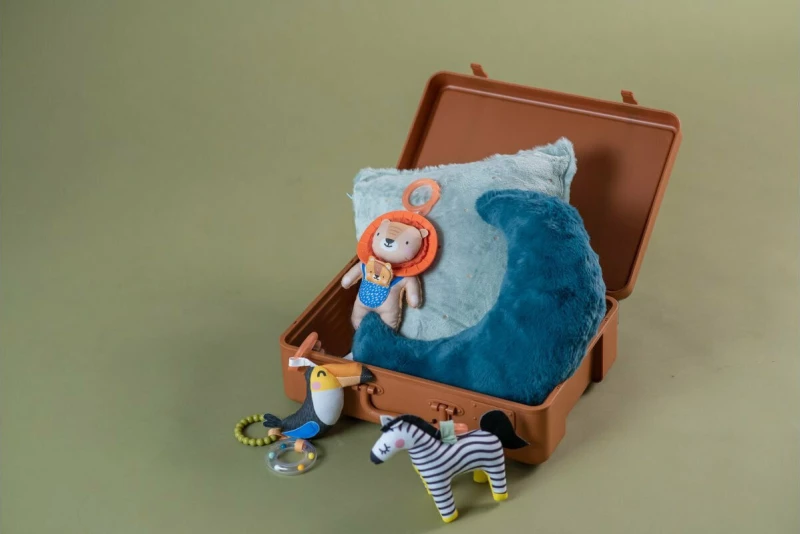 Taf Toys Harry the Lion