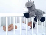 Zazu Kids Don the Donkey