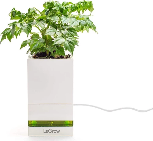 Allocacoc® LeGrow |TG-P1| |Friendly Workplace| Έξυπνο γλαστράκι - φορτιστής Quick Charge 3.0