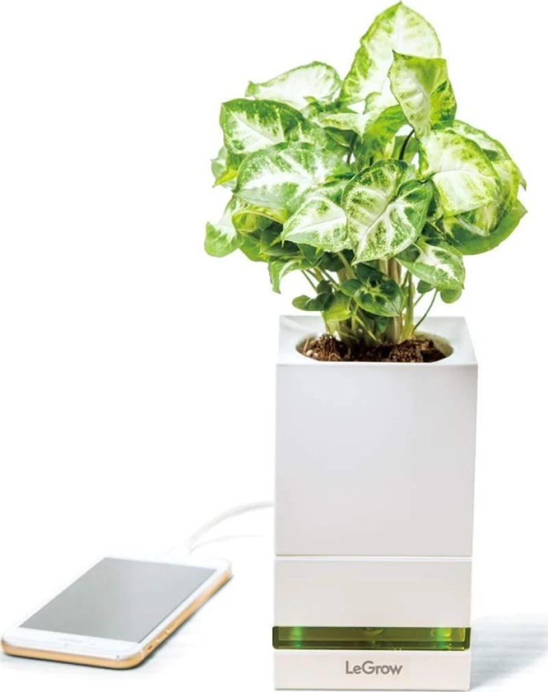 Allocacoc® LeGrow |TG-P1| |Friendly Workplace| Έξυπνο γλαστράκι - φορτιστής Quick Charge 3.0