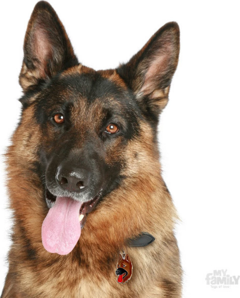 My Family Husky German Shepherd Καφέ Ταυτότητα Μενταγιόν