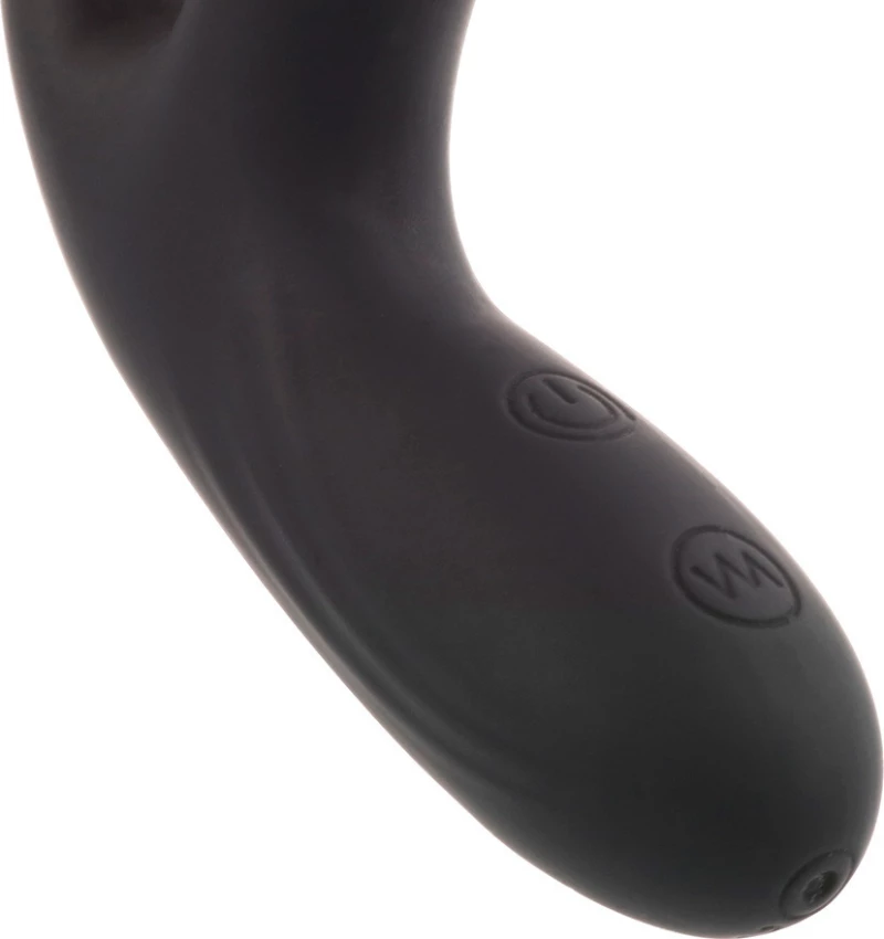 Addicted Toys Anal Massager Flared Base