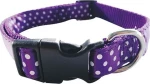 Pet Interest Dots Κολάρο Σκύλου σε Μωβ χρώμα Large 2,5x47-70εκ.