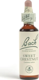 Power Health Bach Sweet Chestnut 20ml