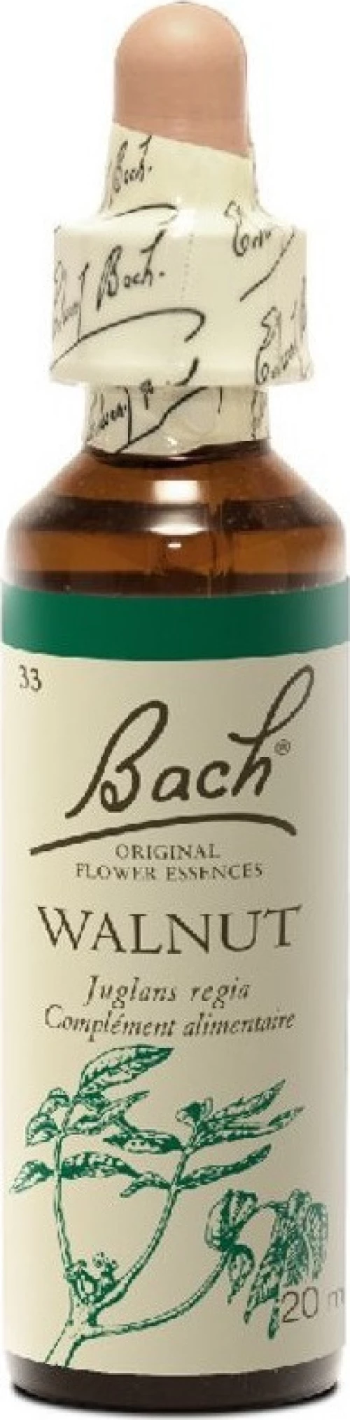 Power Health Bach Walnut 20ml