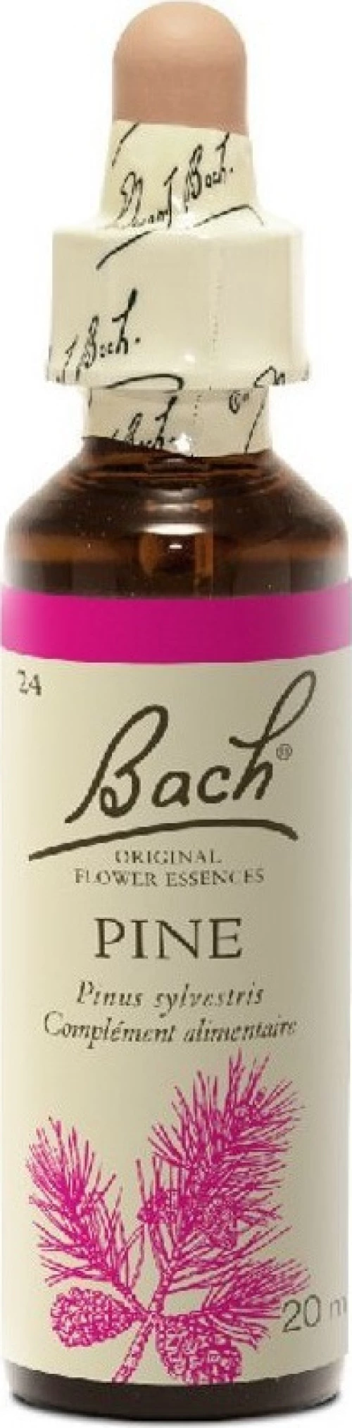 Power Health Bach Pine 20ml