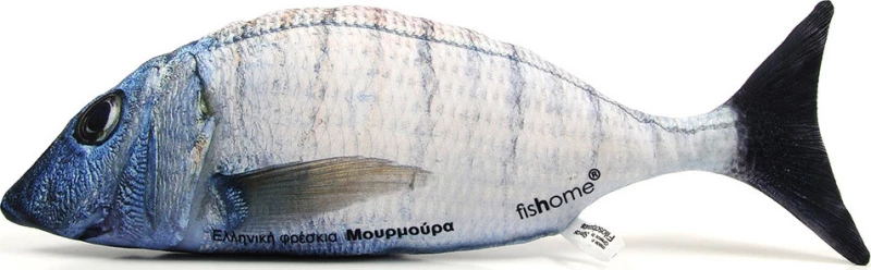 Μουρμούρα - fishome