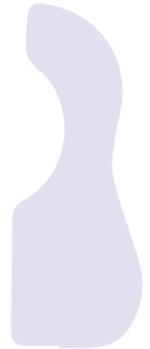 Dandrea Acoustic Guitar - Large, Clear