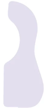 Dandrea Acoustic Guitar - Large, Clear